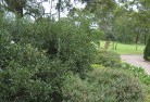 Mooriaryresidential-landscaping-35.jpg; ?>