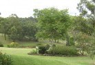 Mooriaryresidential-landscaping-40.jpg; ?>