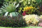 Mooriaryresidential-landscaping-58.jpg; ?>